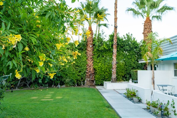 Un jardín bien cuidado con palmeras, césped y un edificio blanco con techo azul.