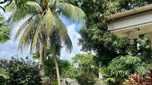 A well-maintained garden with a palm tree, a wooden fence, and a paved pathway.