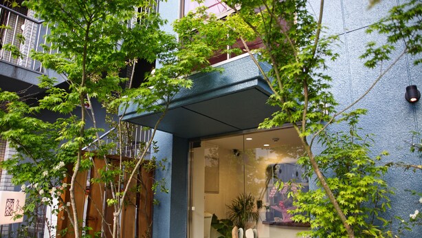 Entrada de un edificio con puerta de vidrio, rodeada de follaje y una pared azul.