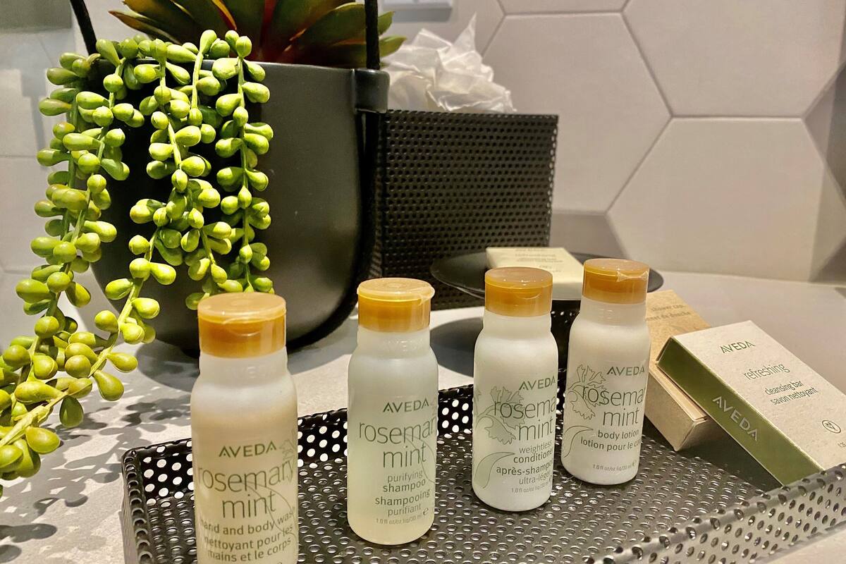 A bathroom counter with Aveda body care products, a potted plant, and a tissue box.