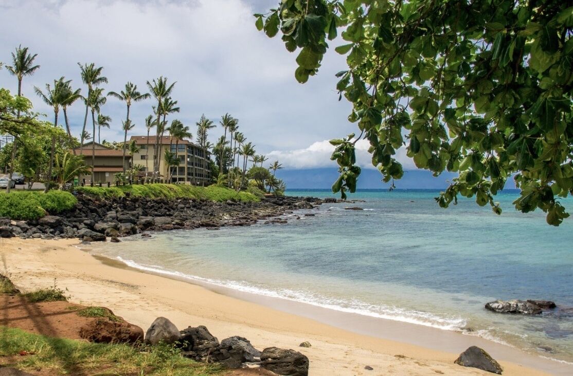 Sun loungers, beach towels