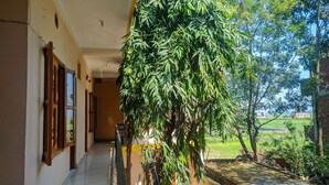 Ngoại thất