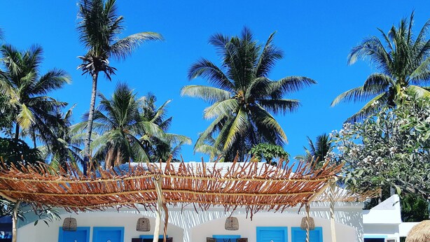 A poolside area with lounge chairs and a covered seating area, surrounded by palm trees and a building with blue doors.