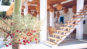 A staircase with wooden steps leading to a room with a thatched roof and a view of palm trees.