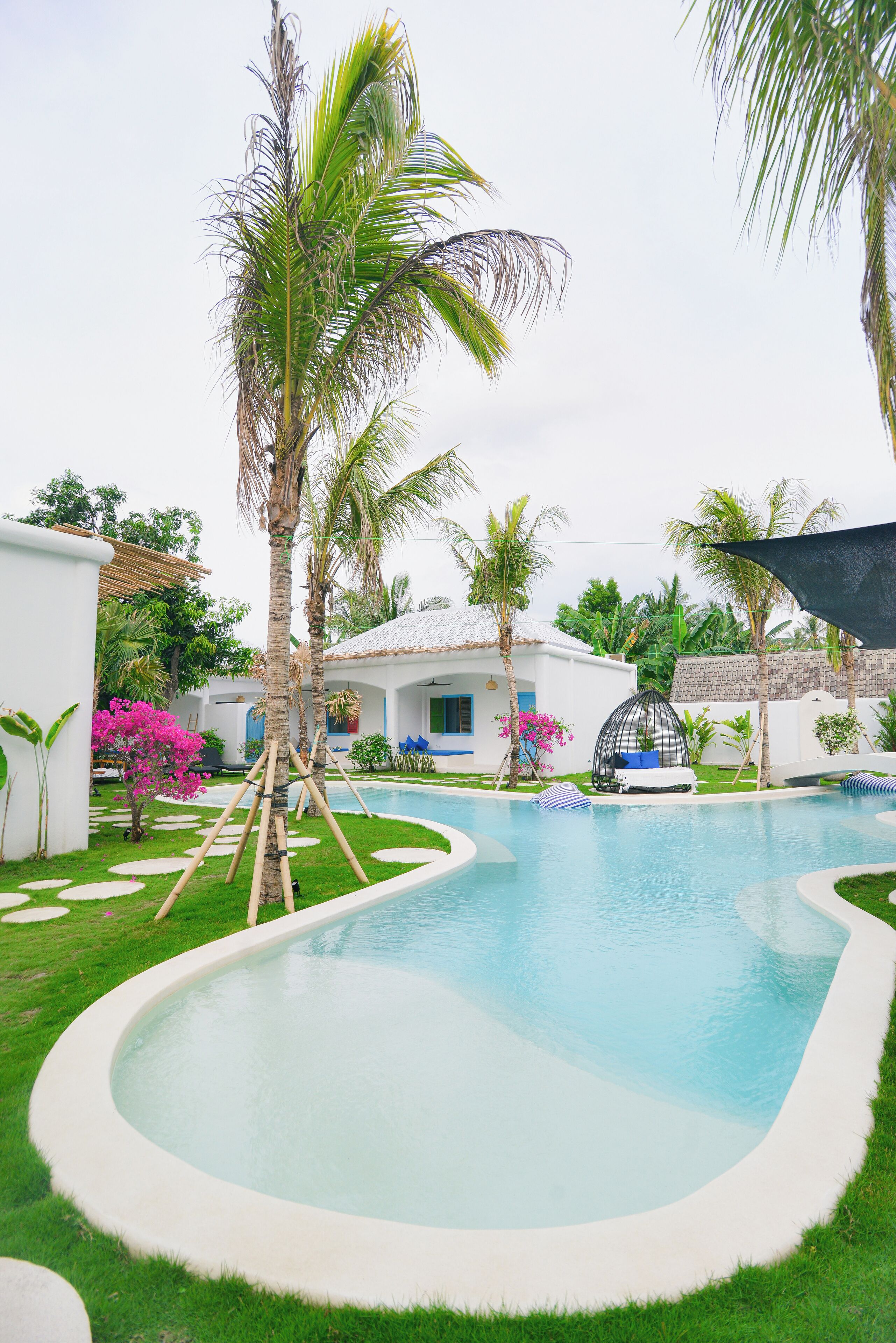 A swimming pool with a curved edge, surrounded by palm trees and a grassy area.