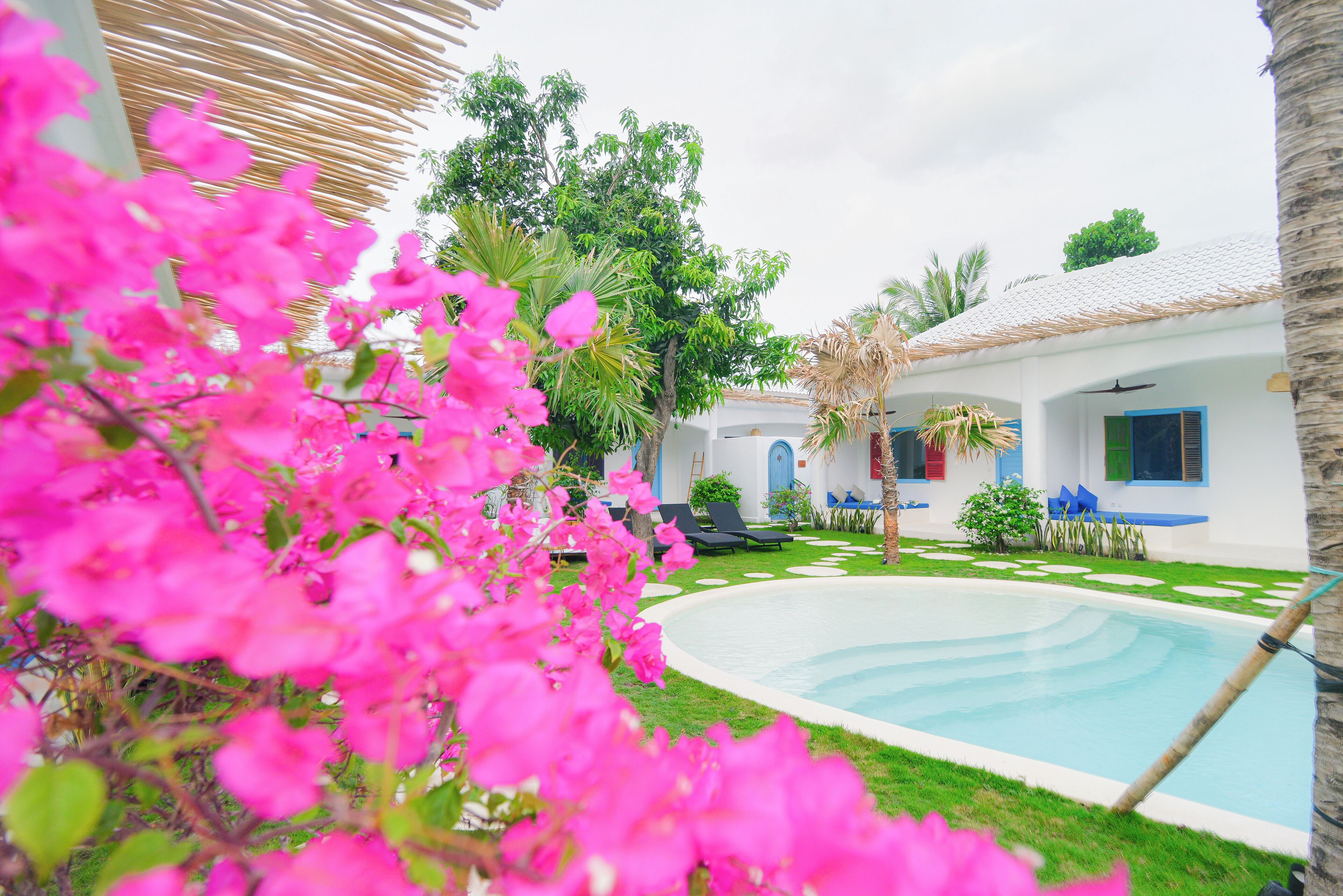 A pool area with a clear blue pool, surrounded by lush greenery and a white building with blue accents.