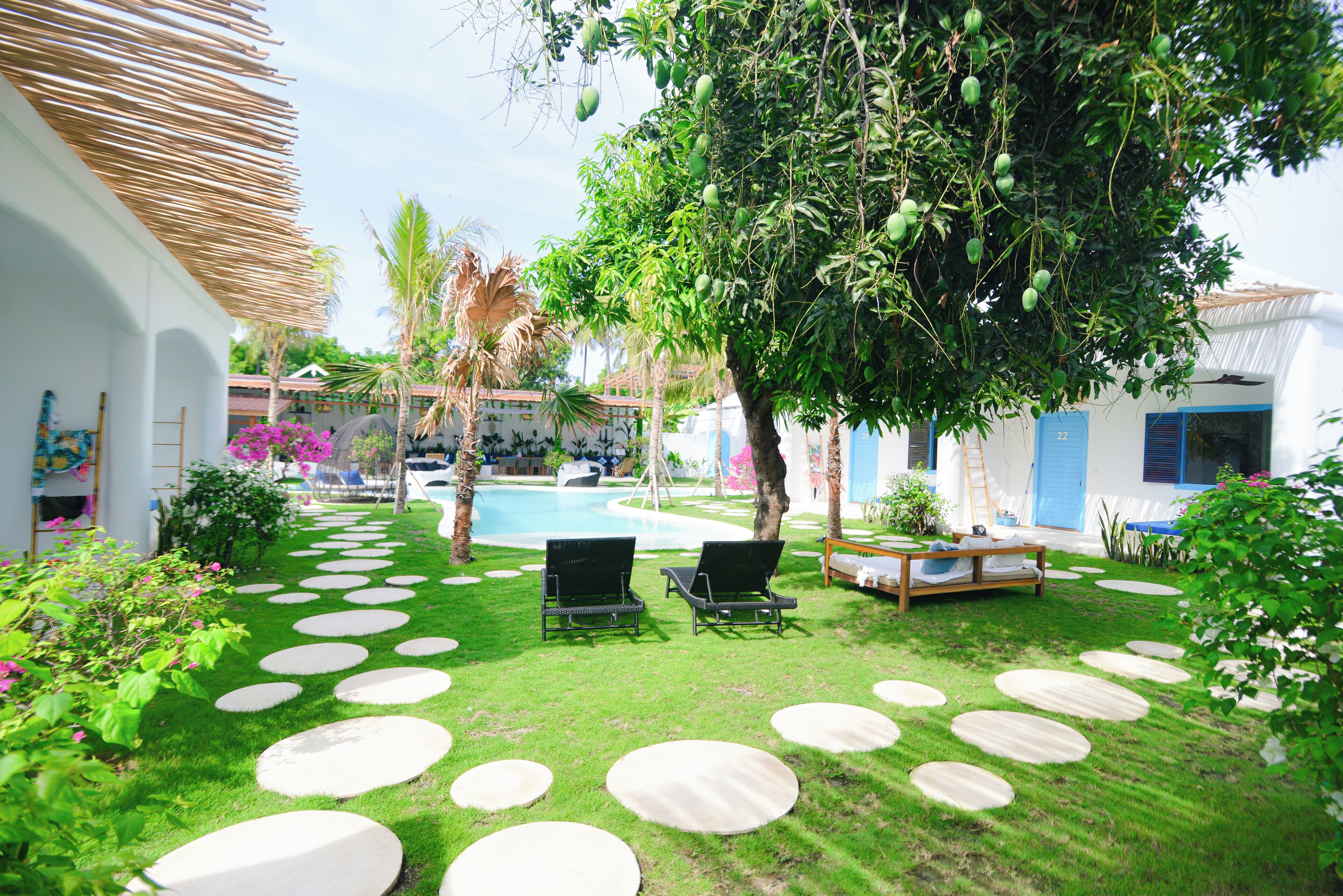 Un área junto a la piscina con dos sillas reclinables, un banco de madera y un árbol con frutos verdes.