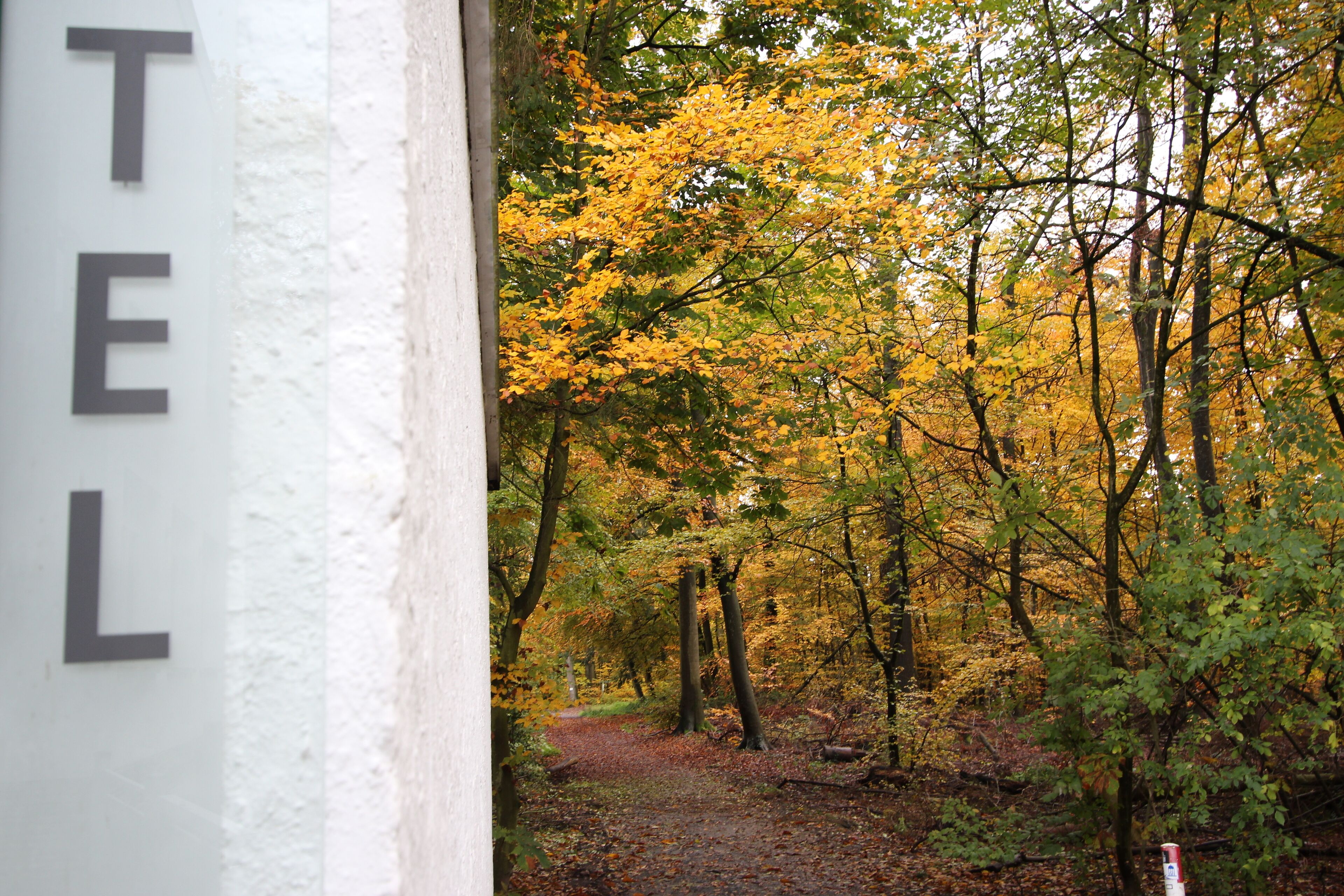 Un sentier forestier bordé d’un mur blanc sur lequel on peut lire les lettres « TEL ».