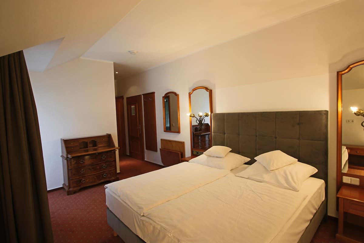 Comfort Double Room | 1 bedroom, hypo-allergenic bedding, minibar, in-room safe