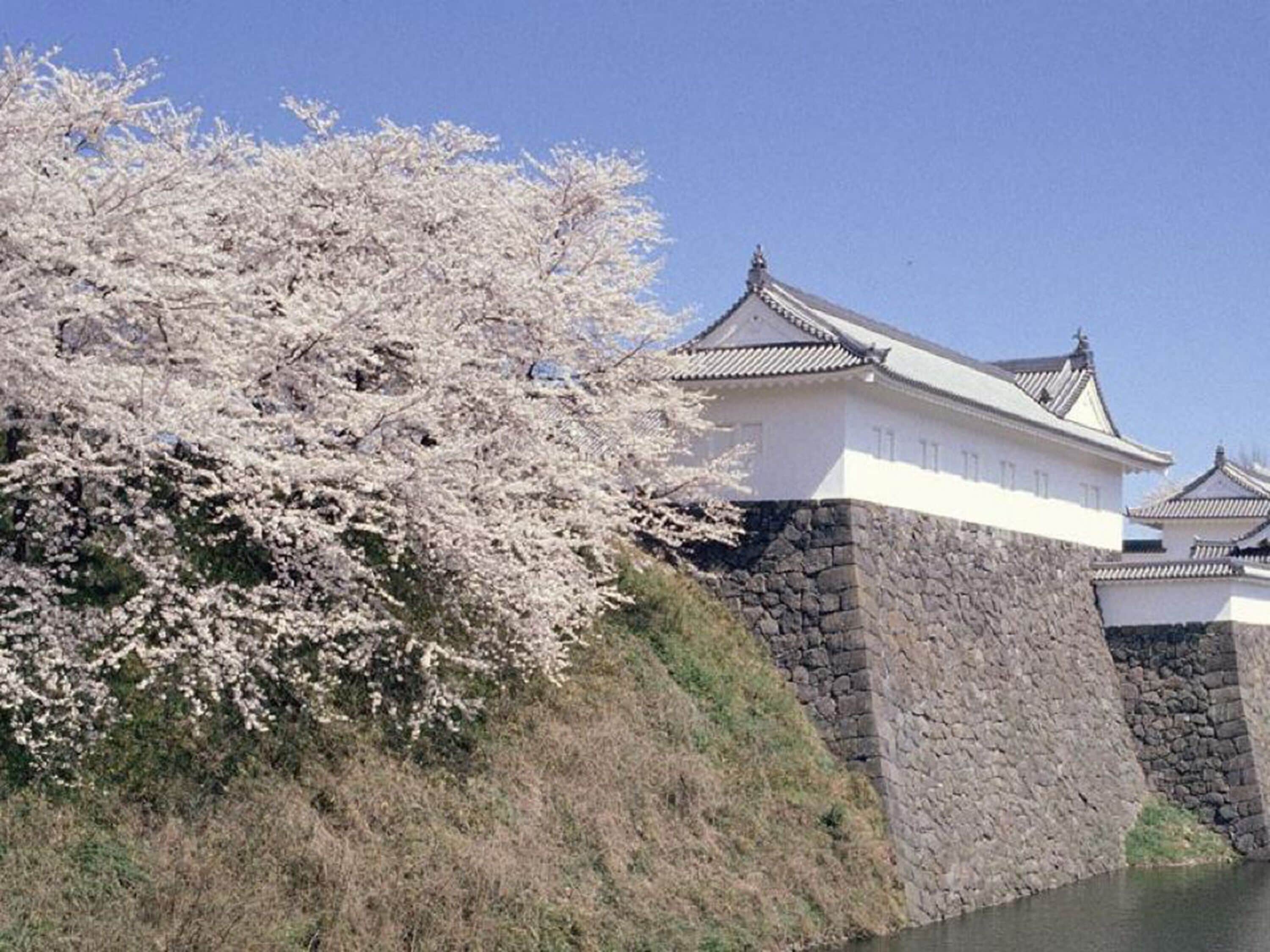 Um castelo japonês tradicional com paredes brancas e base de pedra cinzenta, com vista para um corpo d'água calmo.