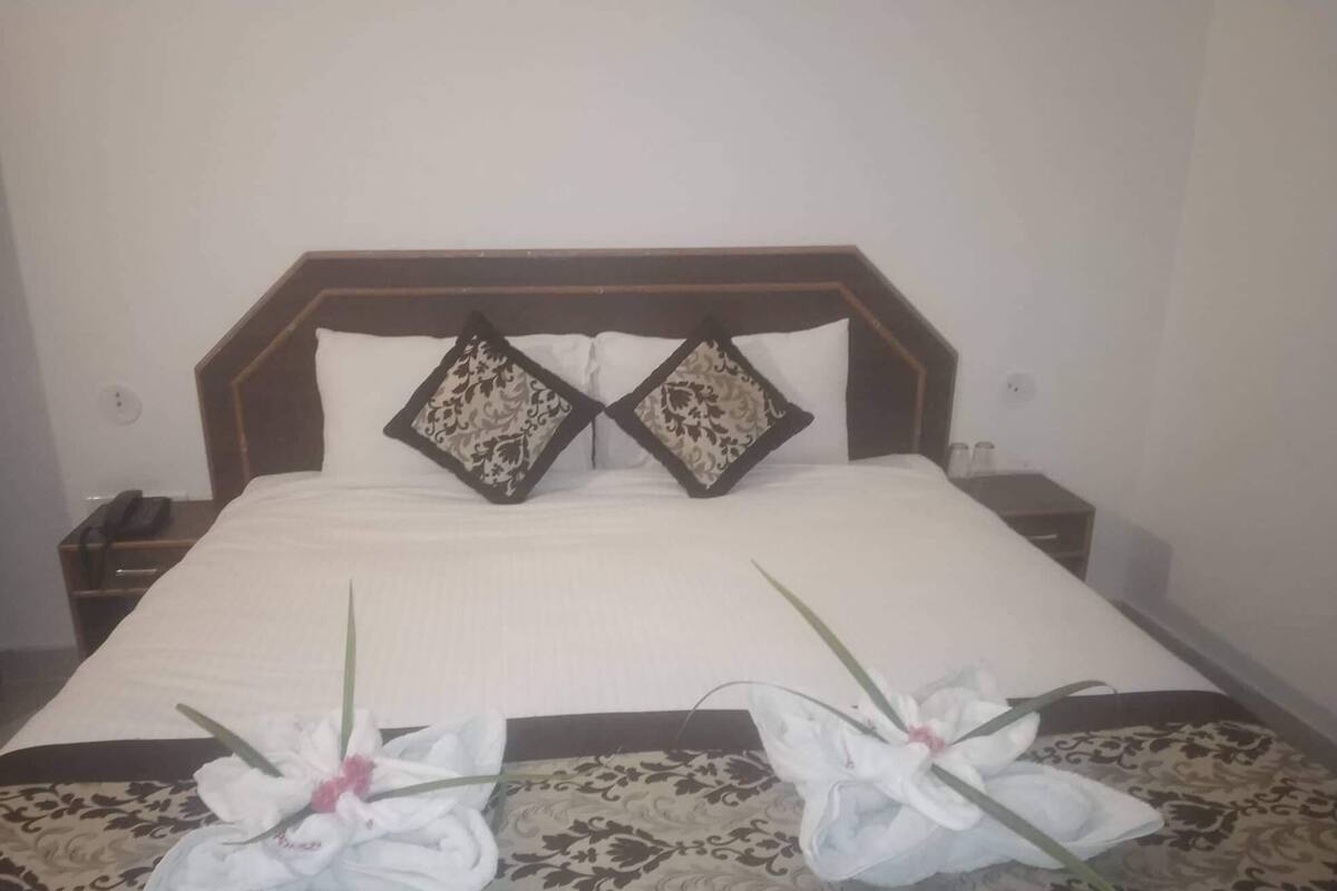 Chambre Double Classique pour 1 personne