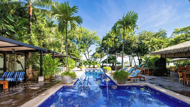 Una piscina con sillones de descanso y sombrillas, rodeada de palmeras y follaje.