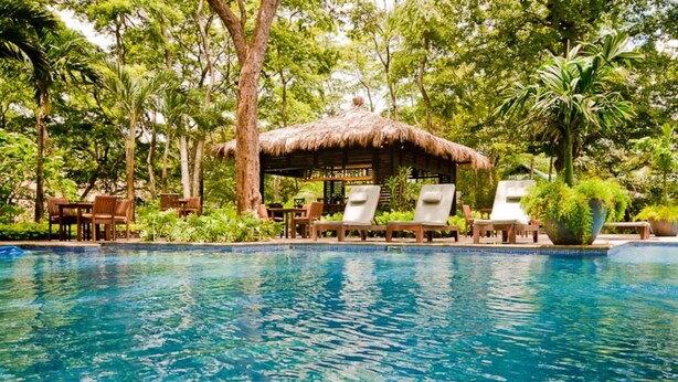 Un área de piscina con sillones de descanso, una estructura de techo de paja y abundante vegetación.