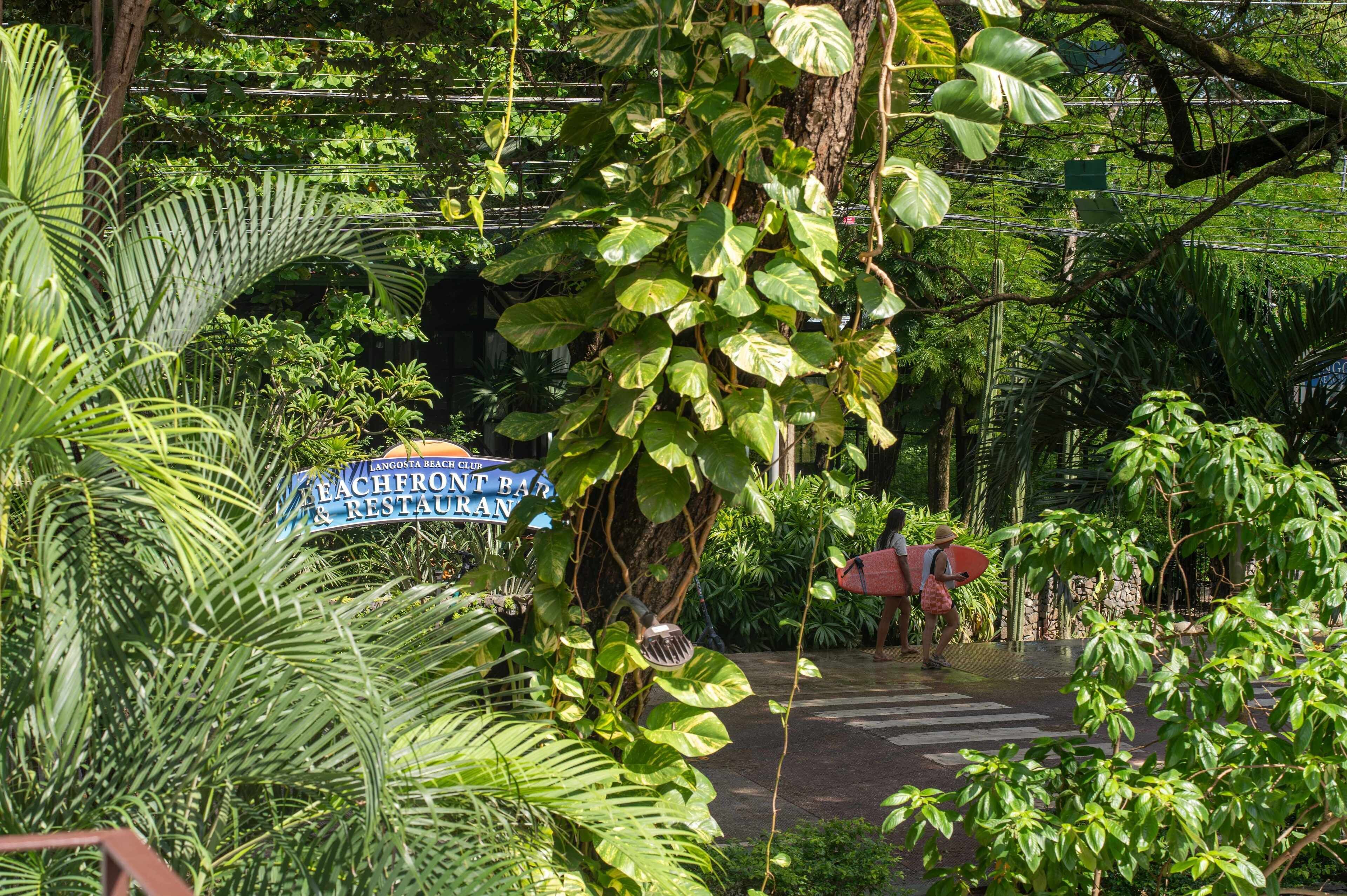 Ein üppiger Garten mit einem Schild für den 'Langusta Beach Club & Restaurant'.
