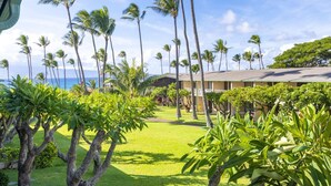 Un hotel con césped, palmeras y vista al océano.