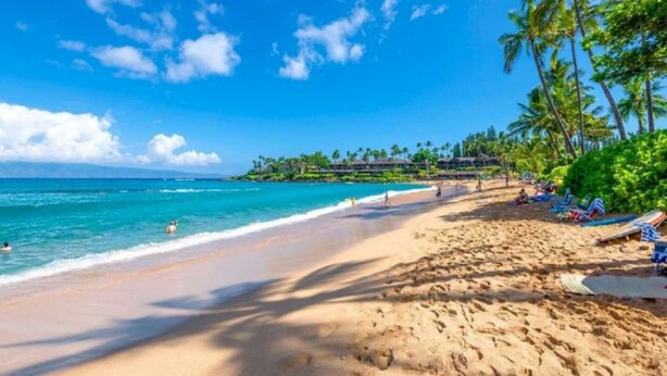 Una playa con agua turquesa cristalina, orilla arenosa y palmeras.
