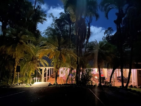 Property grounds. Royal Palm Cottage/5 mins from beach/Akaka Falls/Private Lanai