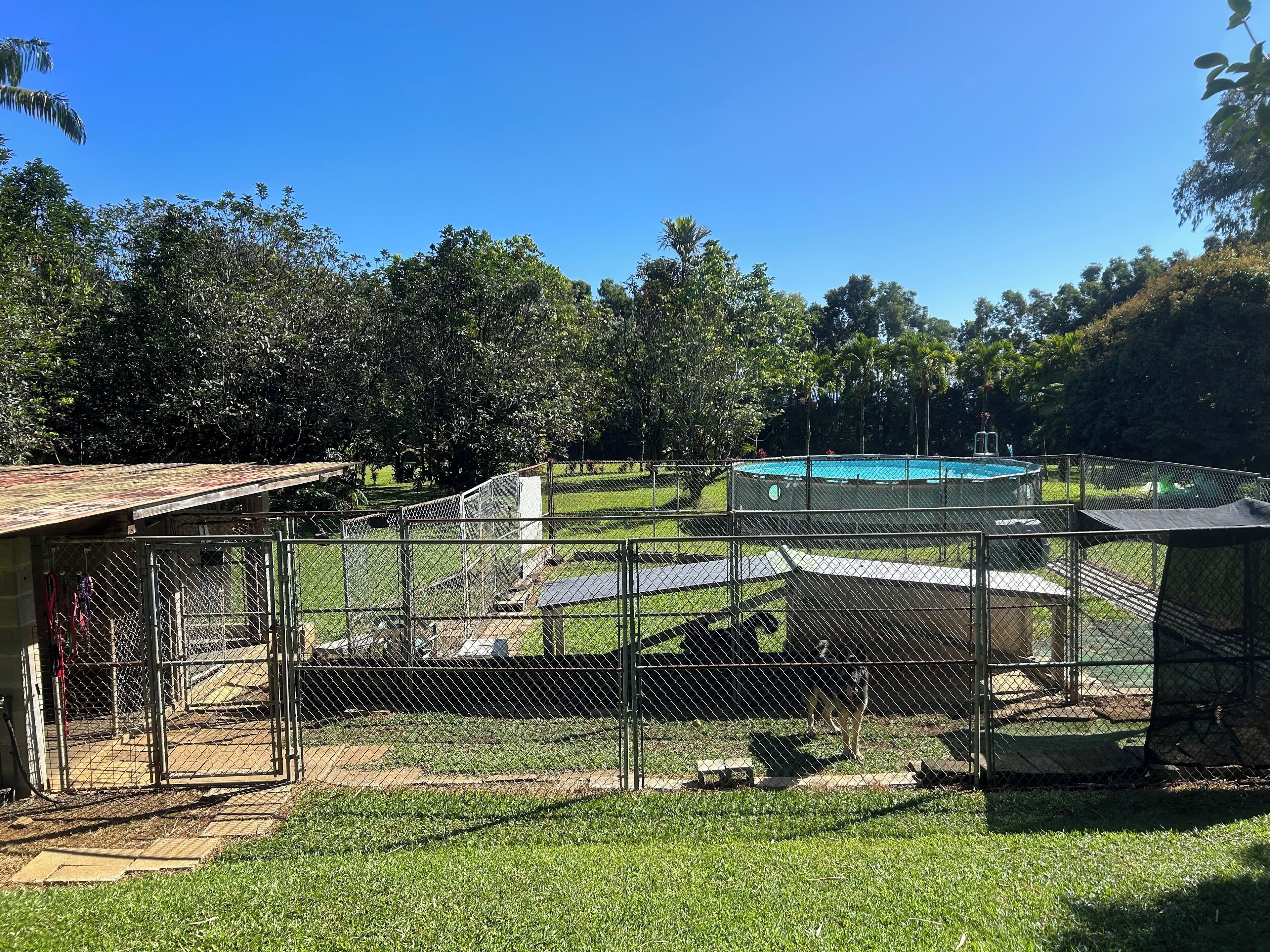 Ein eingezäunter Außenbereich mit Pool, einem kleinen Gebäude und einer Wiese.