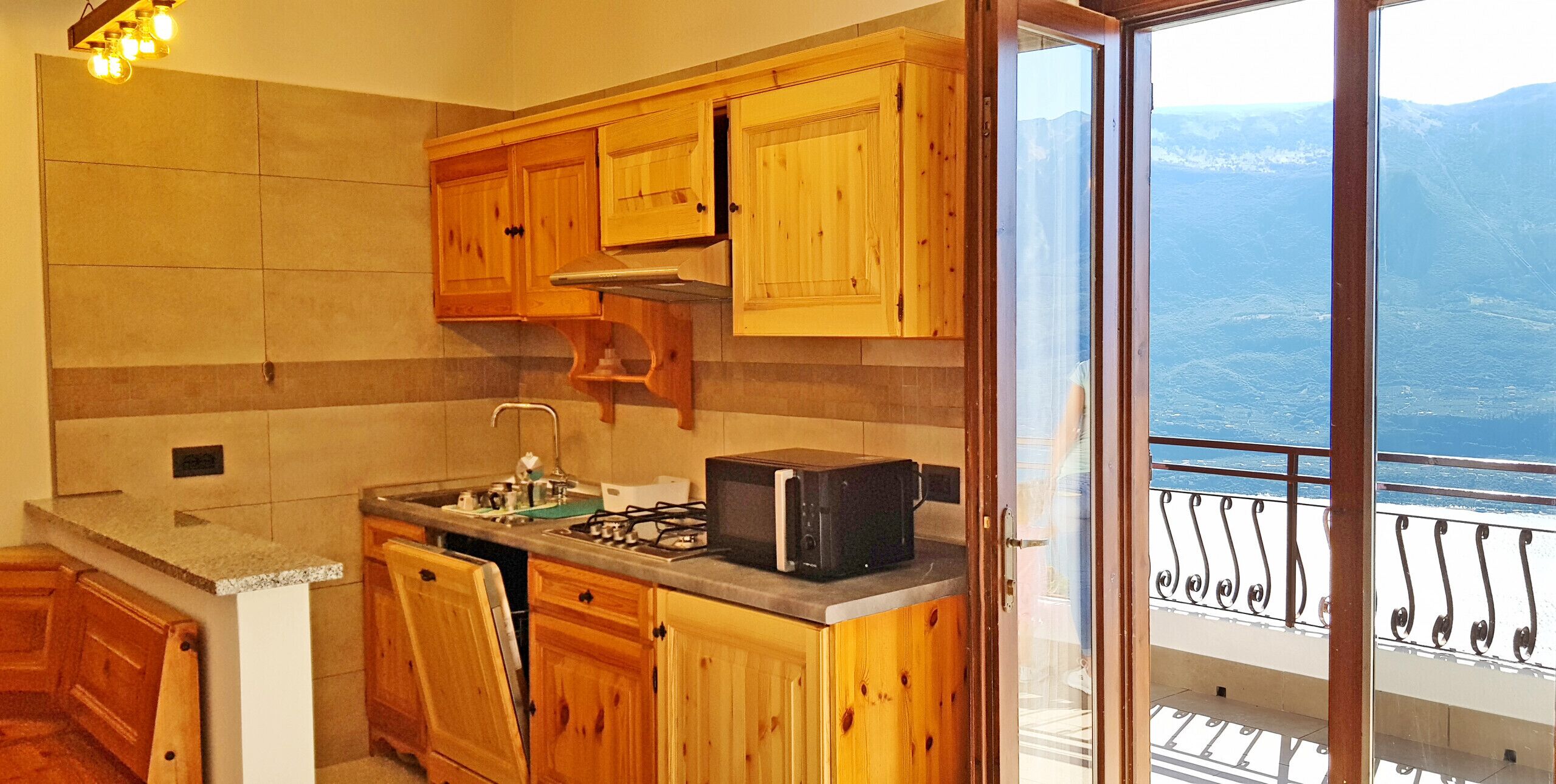 Réfrigérateur, micro-ondes, plaque de cuisson, lave-vaisselle