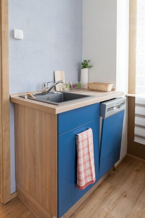 Studio (Holzkontor) | Private kitchenette | Dishwasher, electric kettle, cookware/dishes/utensils