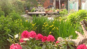 Jardim