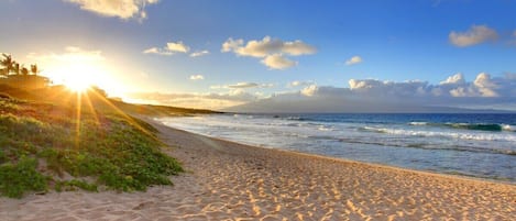 Ubicación a pie de playa, tumbonas y toallas de playa