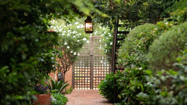 A garden pathway with a wooden gate, surrounded by lush greenery and potted plants. - Twin Rivers Bed and Breakfast (Centurion)