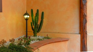 Una planta de cactus junto a un muro con un farol.