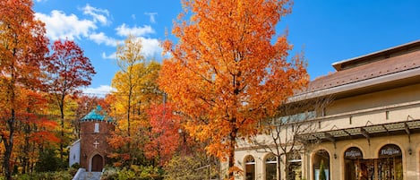 A building with a brick facade and arched windows, surrounded by trees with autumn foliage.