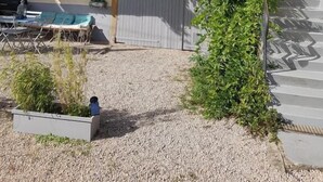 Courtyard - La Maison Des Charmes (Ternand)