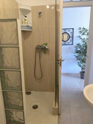 Shower, hair dryer, towels