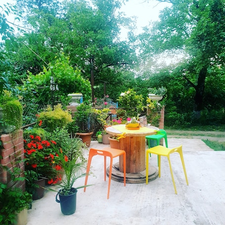 Terraza o patio