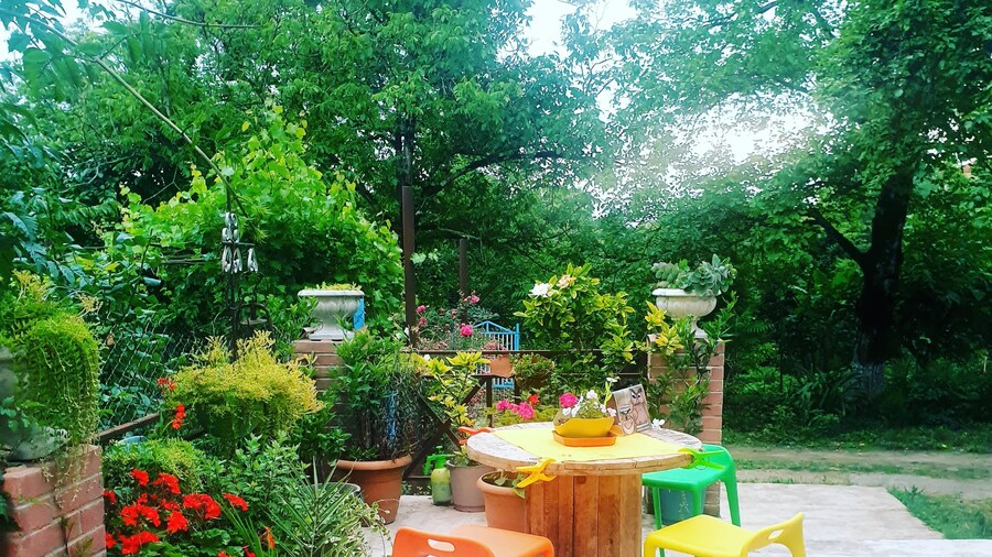 Four seasons in Kutaisi