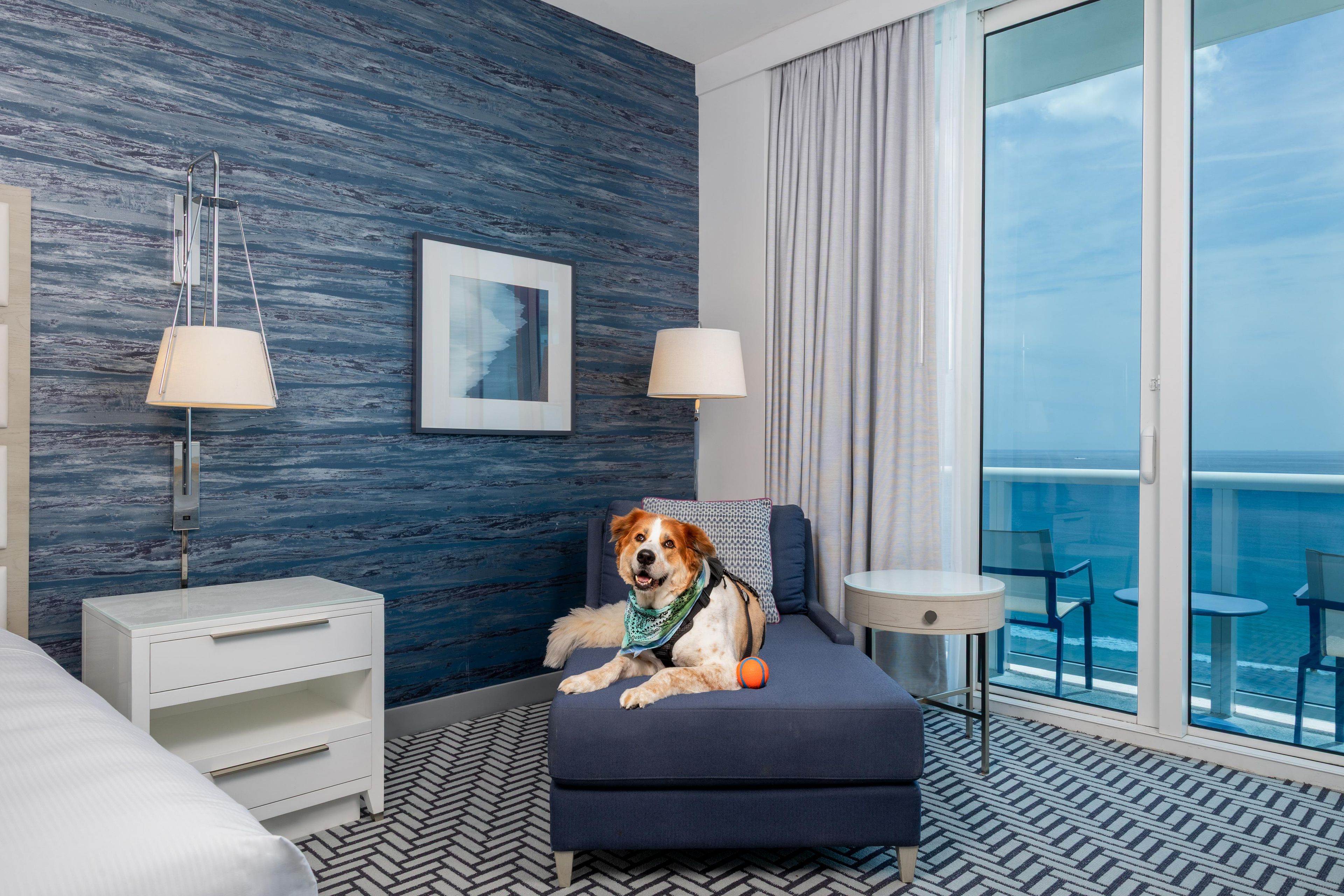 A room with a bed, a small table, a chair, a dog, and a view of the ocean through large windows.