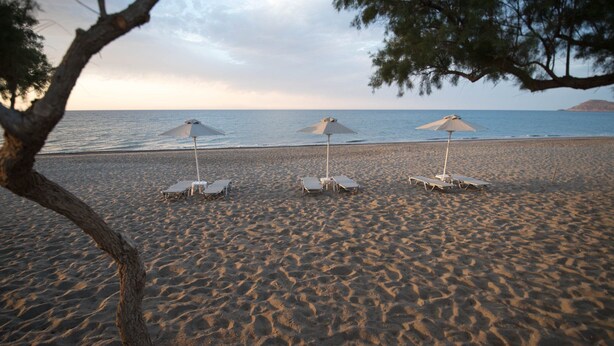 A beach with three sun loungers and umbrellas, a tree in the foreground, and a calm sea in the background. - Electra Studios (Platanias)