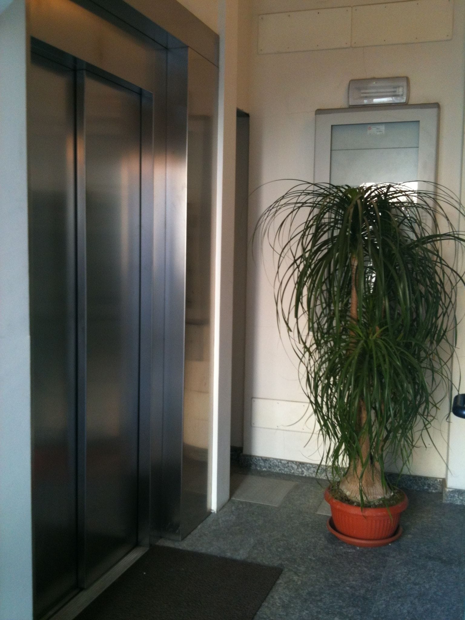 An elevator with a metallic finish, a potted plant with long, thin leaves, and a wall-mounted intercom system.
