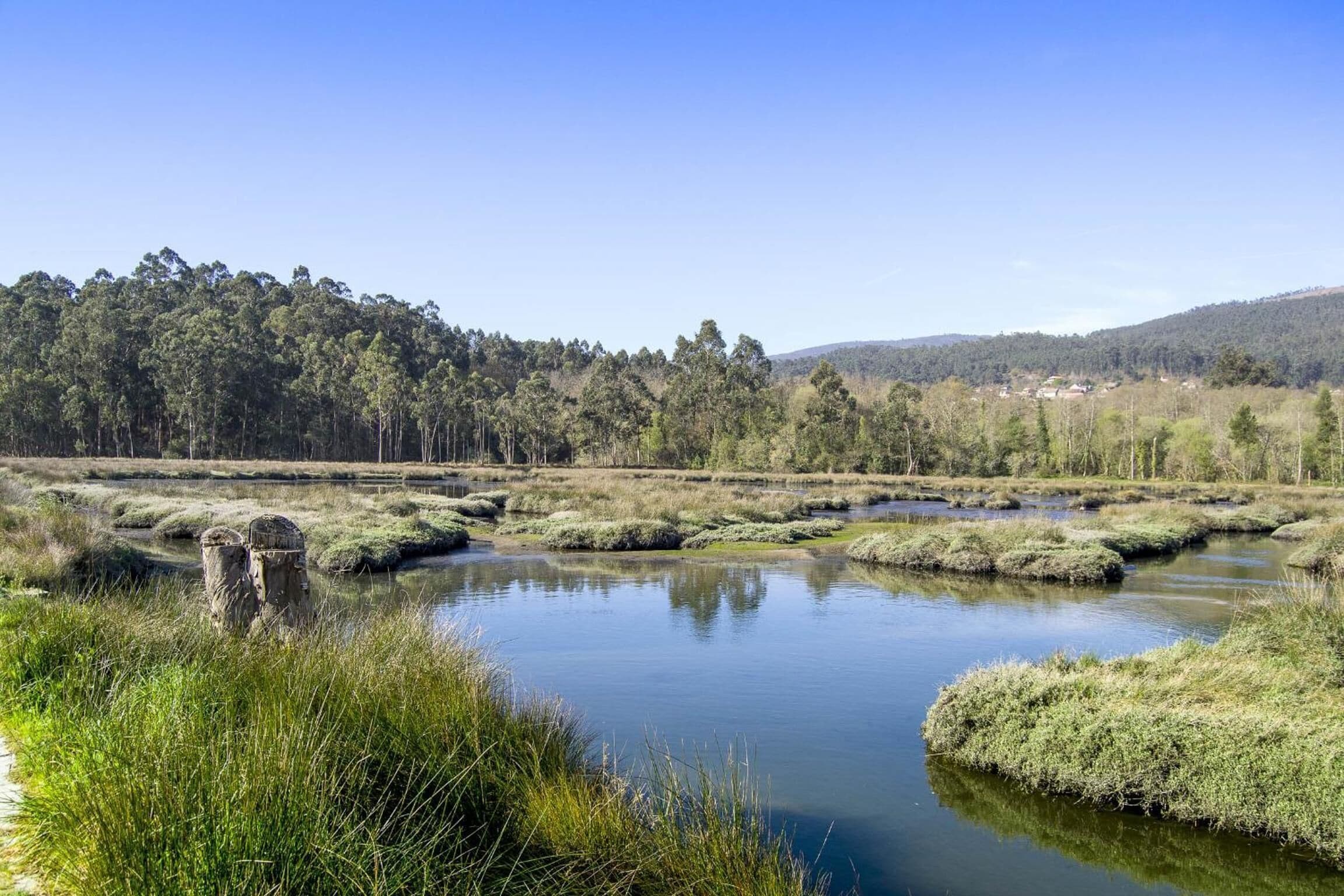 Photo - Hostel Albergue O Mesón