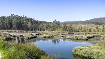 Paesaggio naturale con una superficie d'acqua calma, circondata da una fitta foresta e colline sullo sfondo.