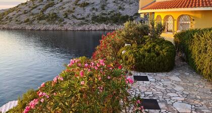 Villa uima-altaalla ja oma ranta