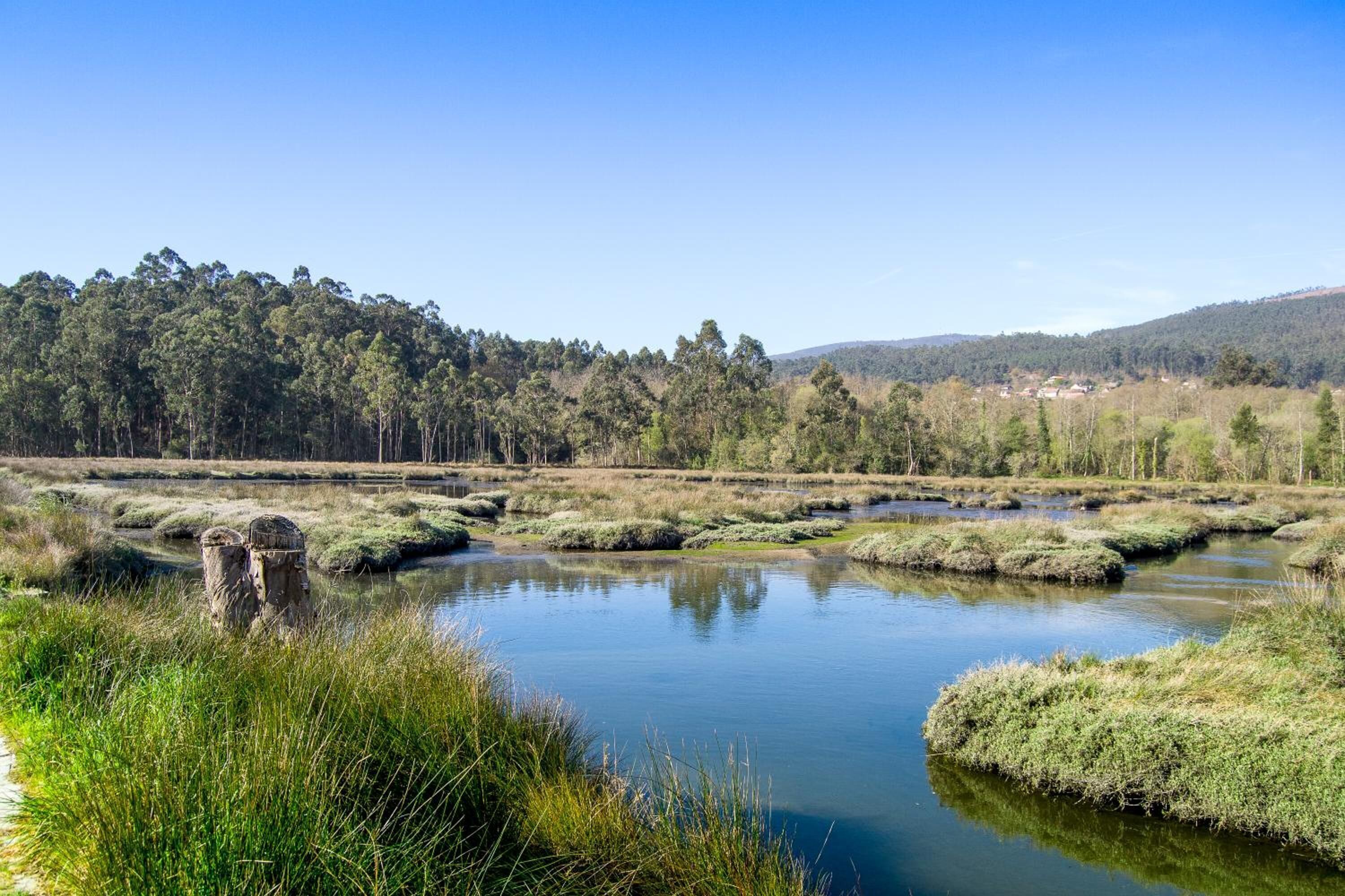 A natural landscape with a calm water body, surrounded by dense forest and hills in the background.