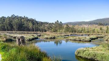 A natural landscape with a calm water body, surrounded by dense forest and hills in the background.