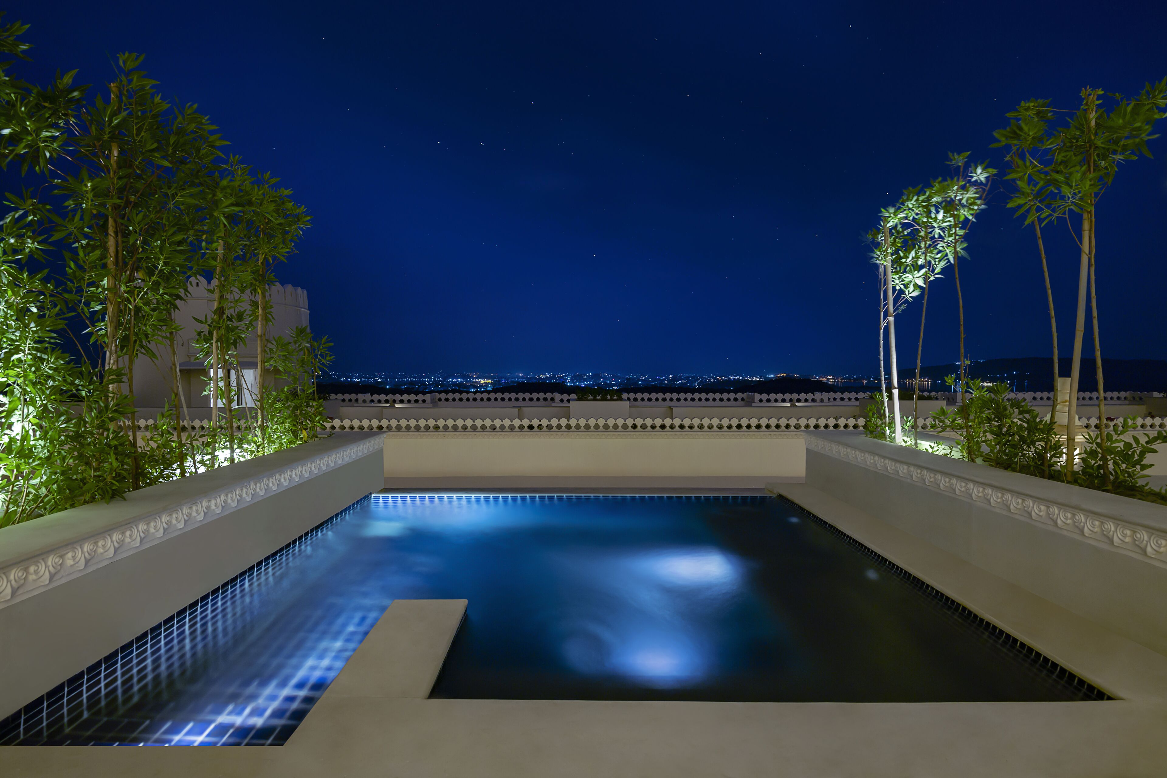 A rectangular infinity pool with a view of the city skyline at night, surrounded by palm trees and a decorative railing.