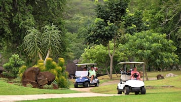 Voiturette de golf