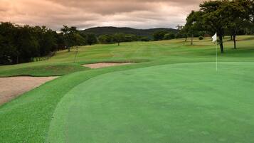 Golf view