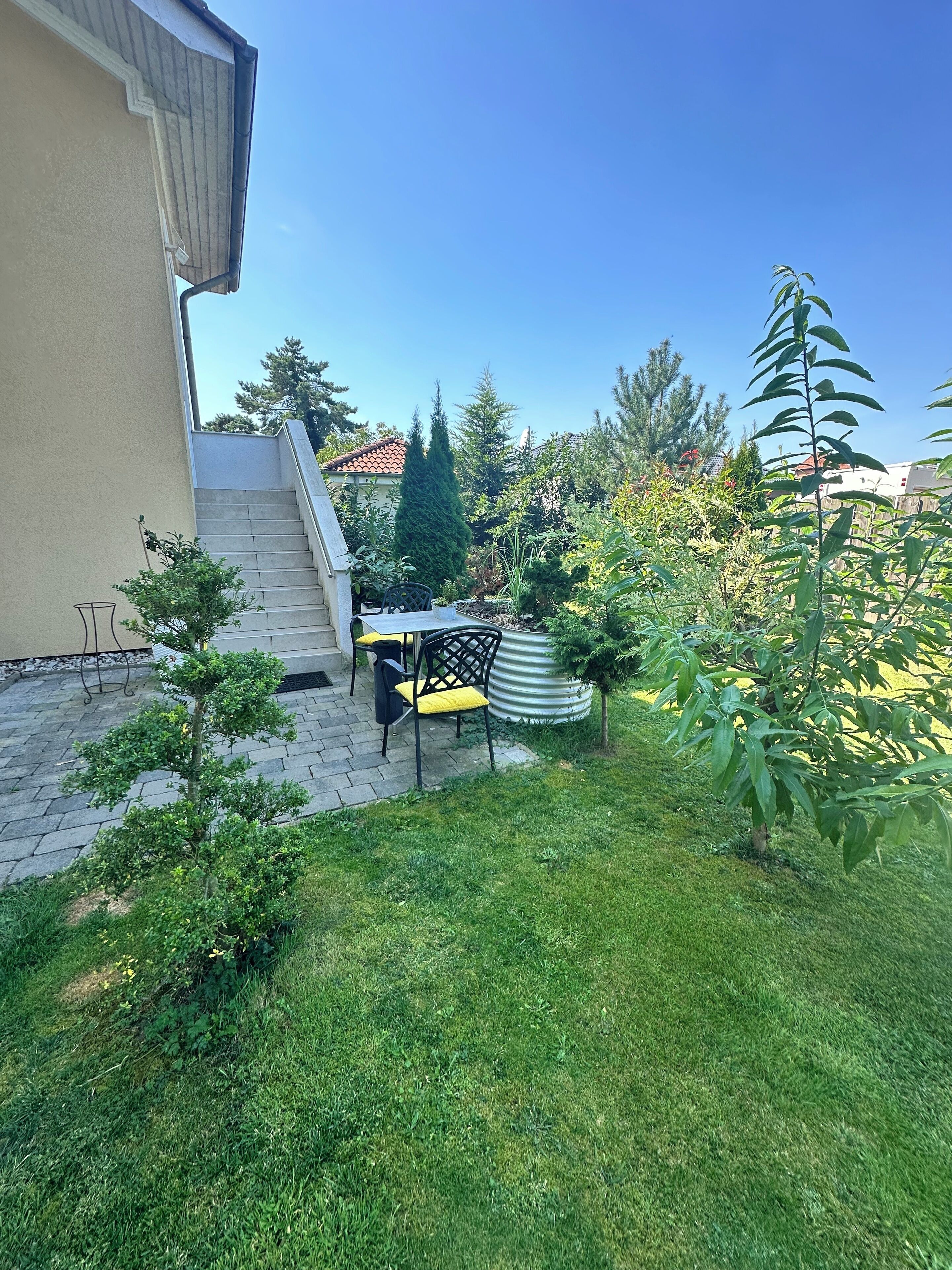 A residential backyard with a paved patio, a small table and chairs, and a variety of plants.