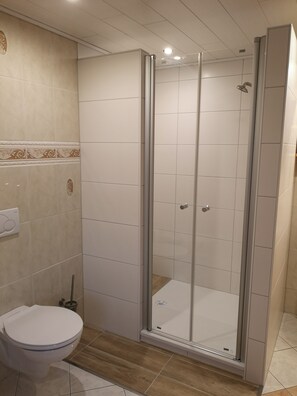 Shower, hair dryer, bidet, towels