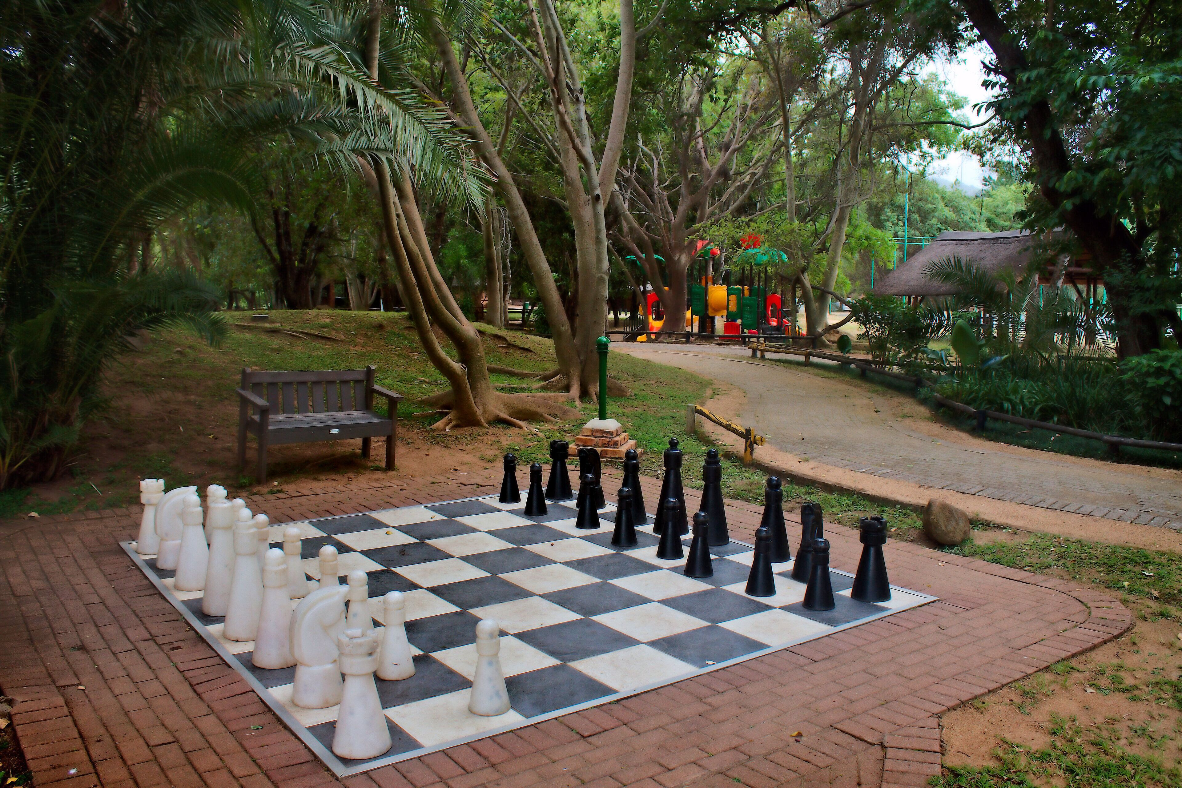 A chessboard set up outdoors with trees and a bench in the background.