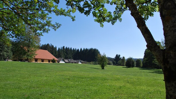 A grassy field with a building with a red roof and several trees.