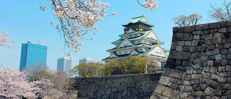 A traditional Japanese castle with a stone wall and cherry blossoms in the foreground.