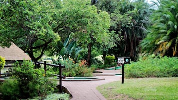 Mini-golf
